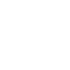 PDF Icon